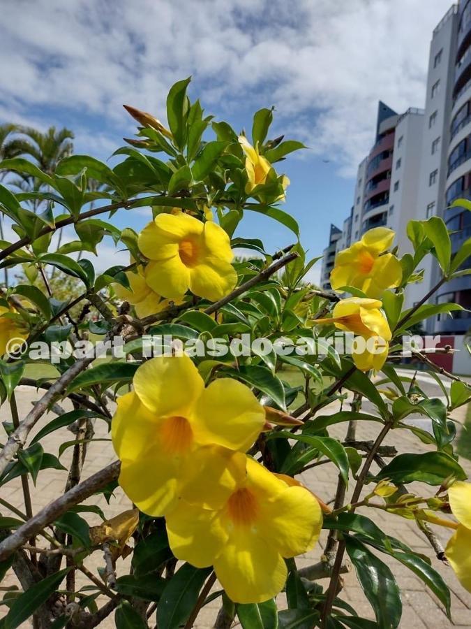 Apto Cond Ilhas Do Caribe - Pr - Beira Mar 马蒂尼奥斯 外观 照片